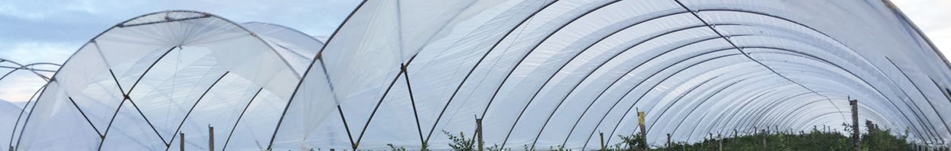 Agrow high tunnel poly hoop house (ACS)2
