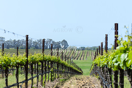 Вертикальная система позиционирования стрел (VSP)