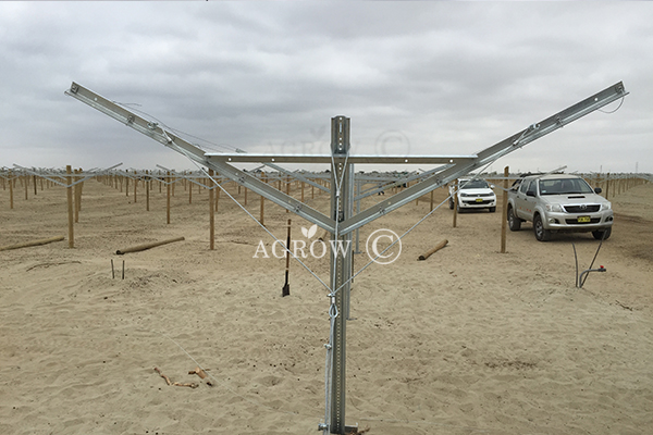 Galvanized Vineyard Steel Trellis Structure-AGROW.jpg