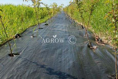 Коврик для растений