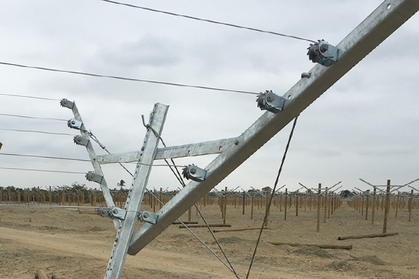 Open Gable Trellis System Конечный пост ситечко для провода